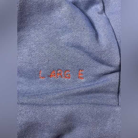 NEW- NAGRI Ye Must Be Born Again Graphic Print Hoodie - Heavyweight COLOR: Blue - Picture 14 of 15